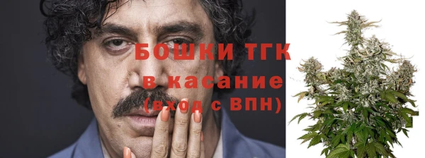 дурь Арсеньев