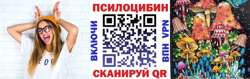 Псилоцибиновые грибы Psilocybine cubensis  Чердынь 